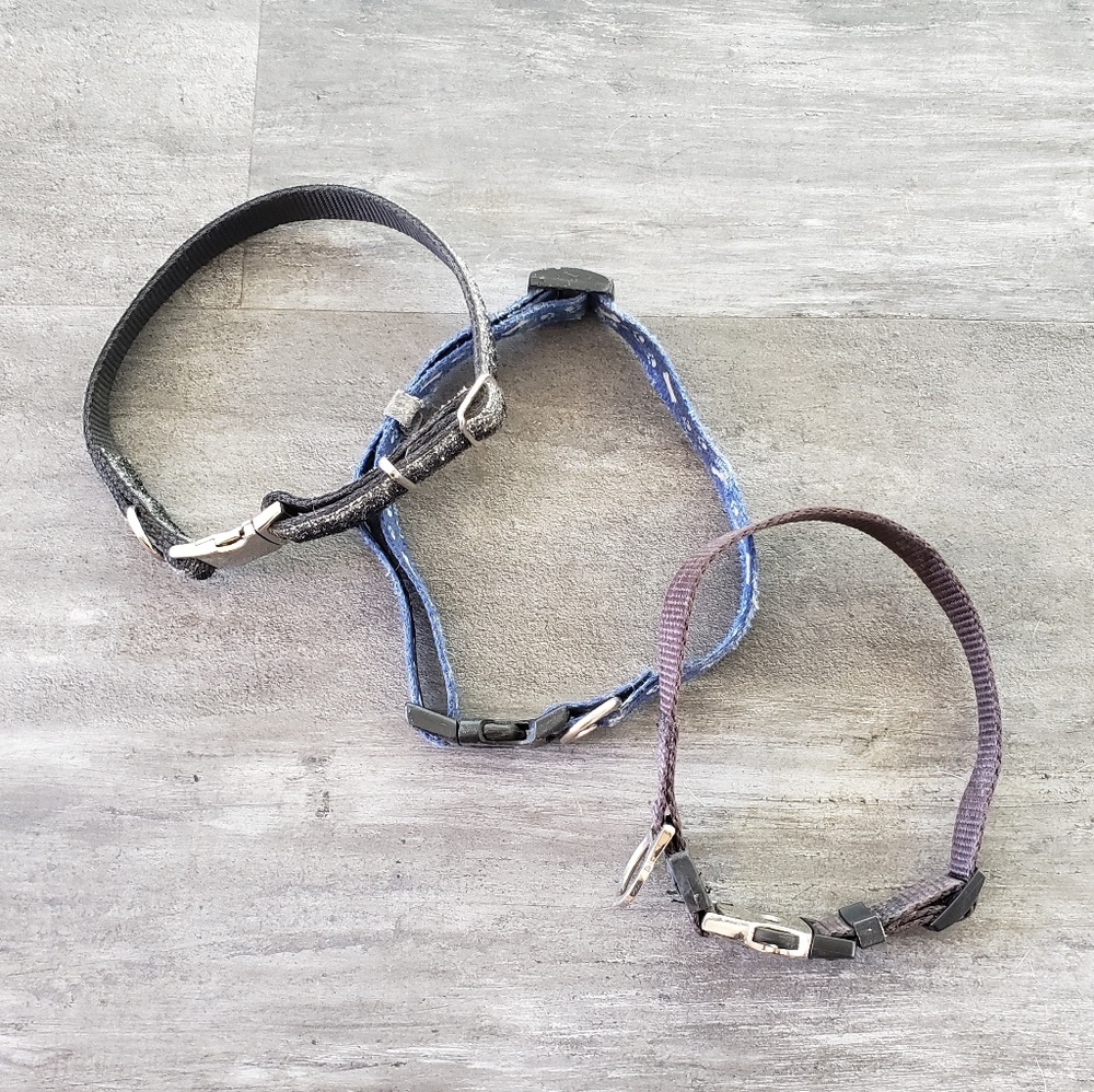 Black Blue PetMate Dog Collar 3 Bundle